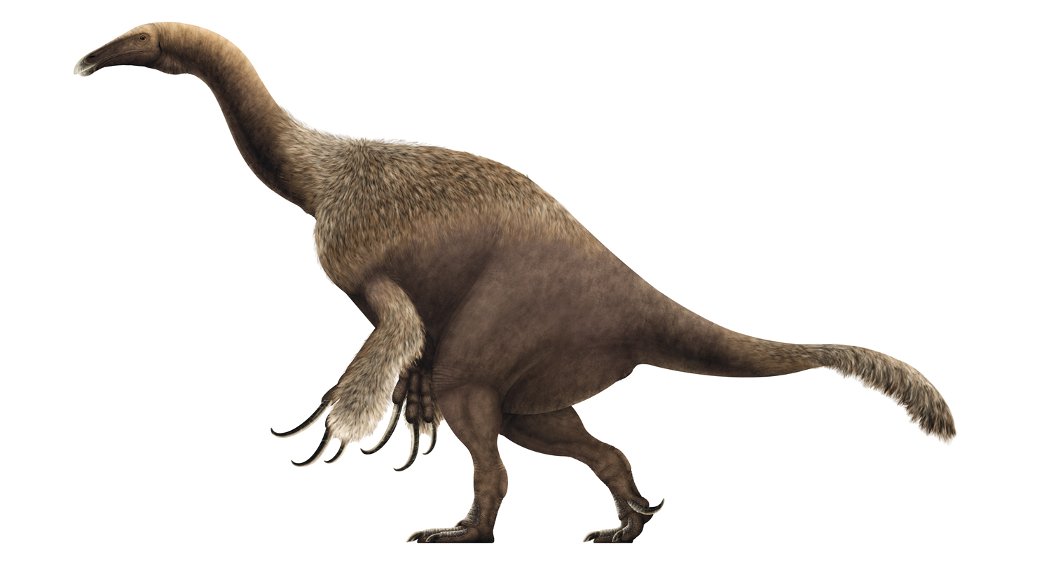 Therizinosaurus_cheloniformis