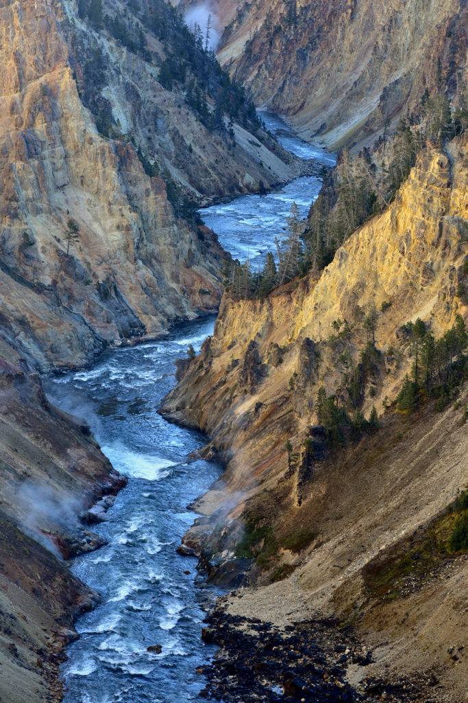 Vue sur la rivière Yellowstone, depuis le haut des chutes dites "Lower falls"