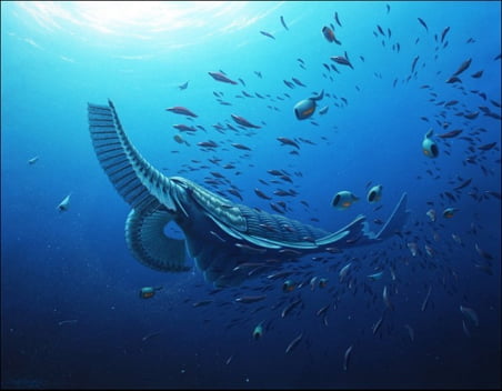 anomalocaridide tamisiocaris