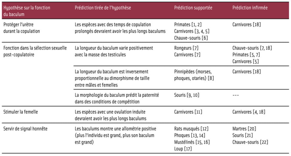 beaujeau tableau biblio