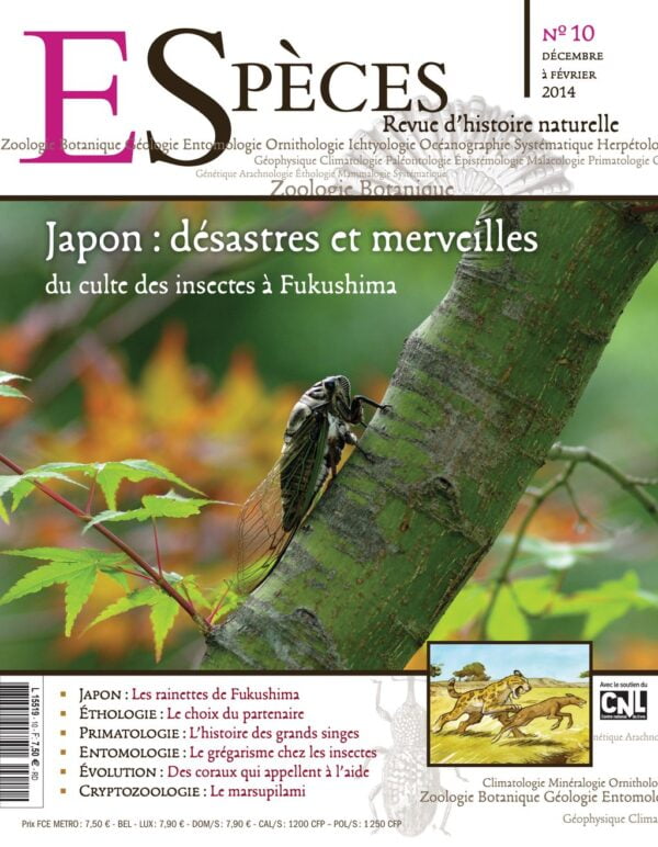 especes couverture numero10