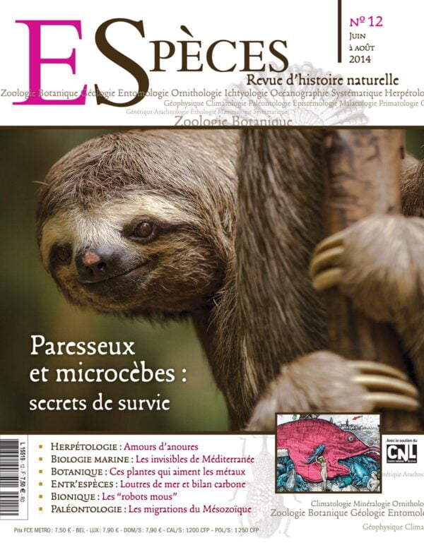 especes couverture numero12