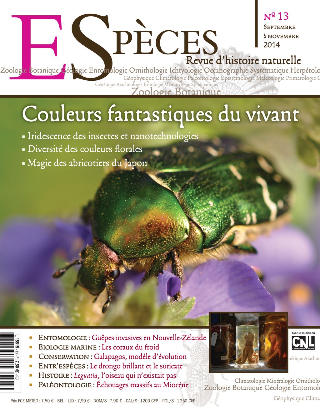 especes couverture numero13