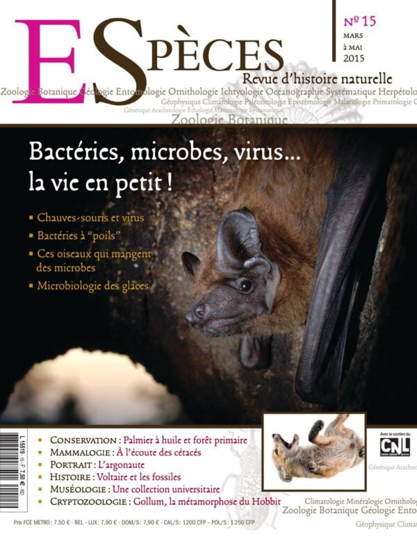 especes couverture numero15