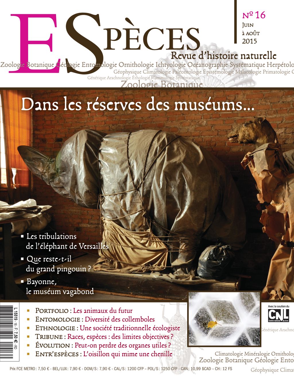 especes couverture numero16