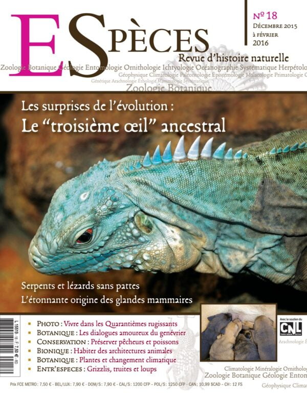 especes couverture numero18