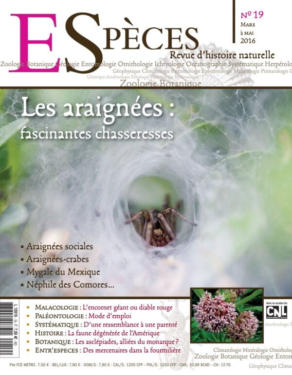 especes couverture numero19