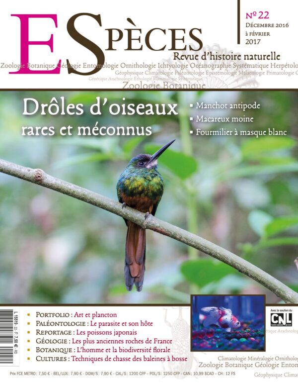 especes couverture numero22