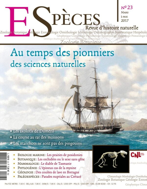 especes couverture numero23