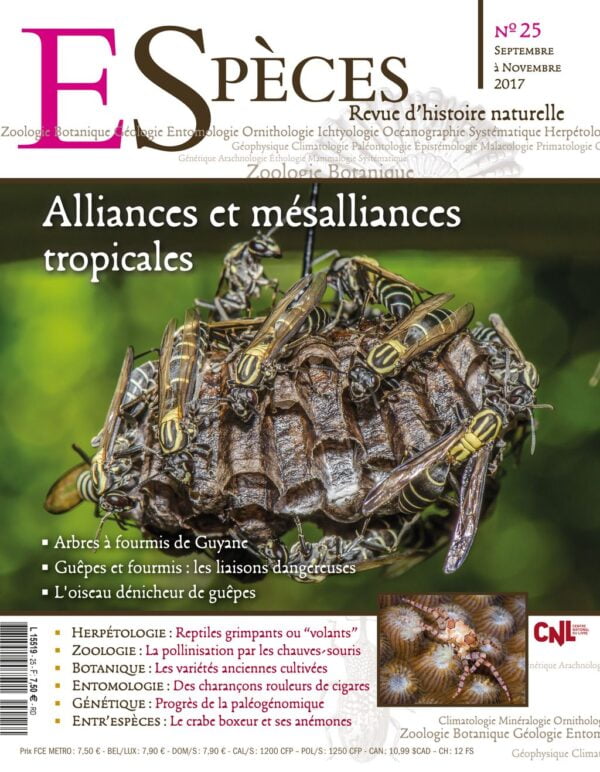 especes couverture numero25