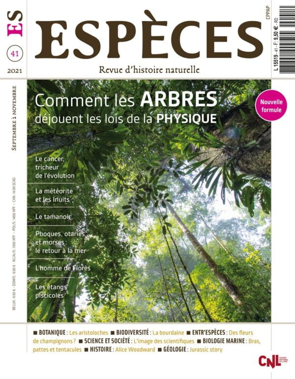 especes couverture numero41