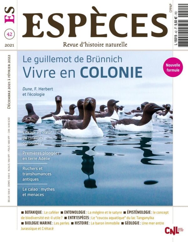 especes couverture numero42