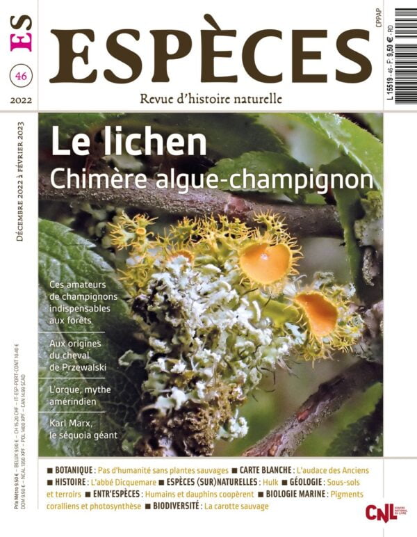 especes couverture numero46