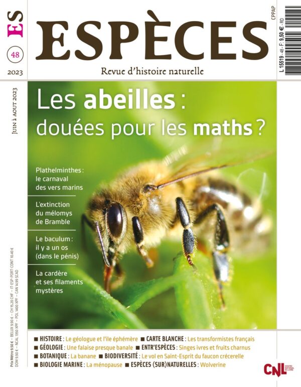 especes couverture numero48