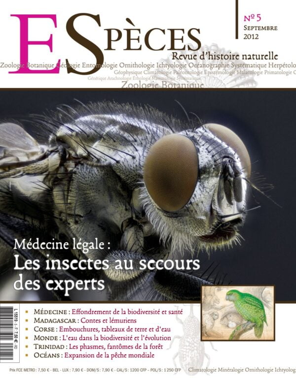 especes couverture numero5