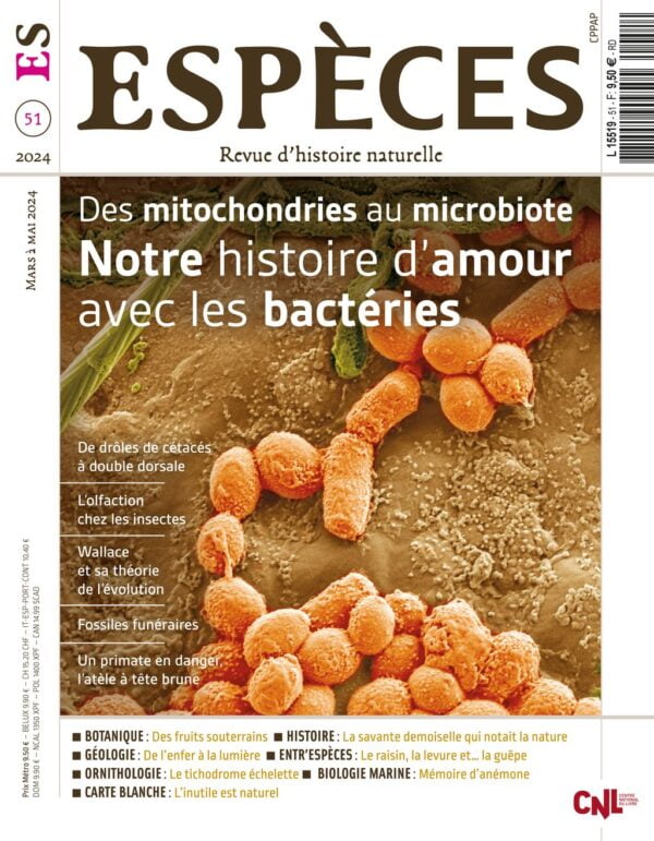 especes couverture numero51