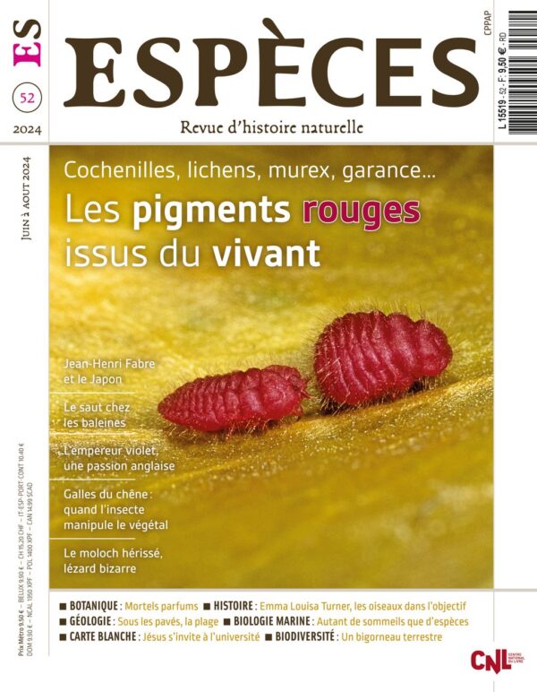 especes couverture numero52