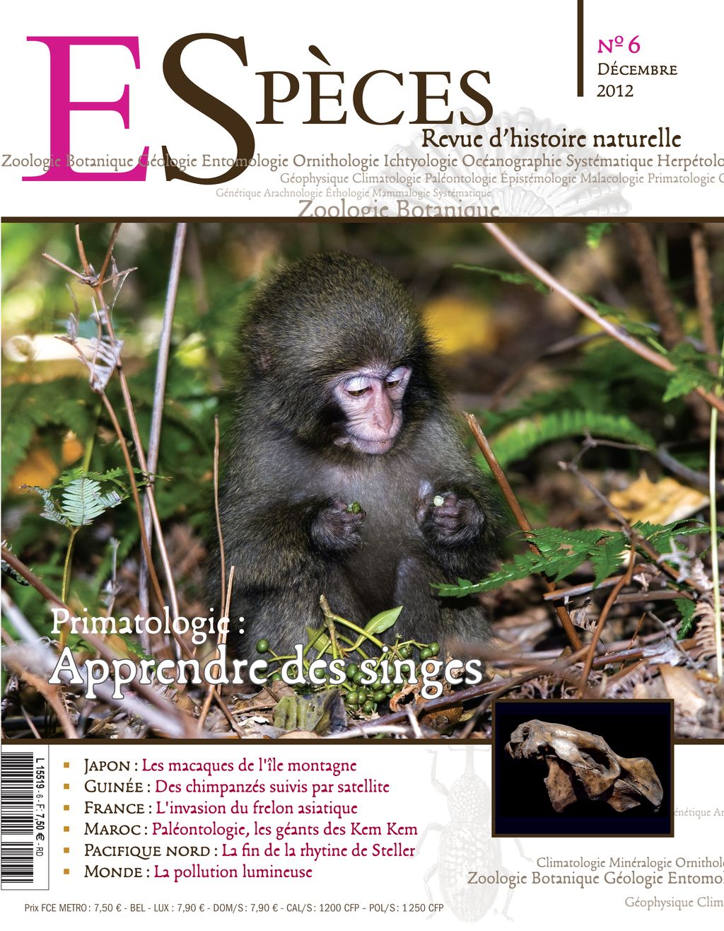 especes couverture numero6