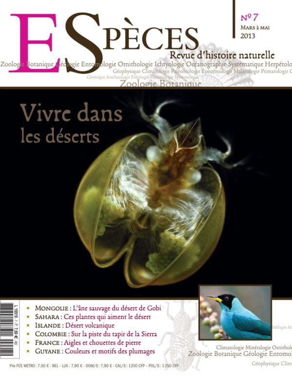 especes couverture numero7