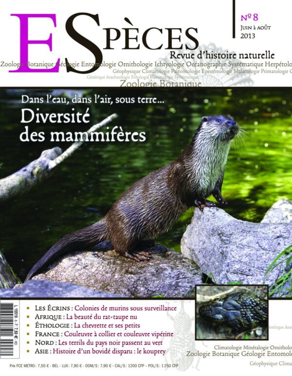 especes couverture numero8