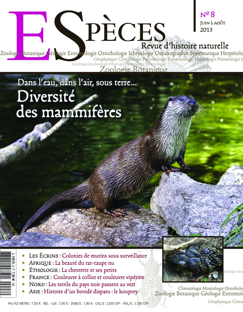 especes couverture numero8