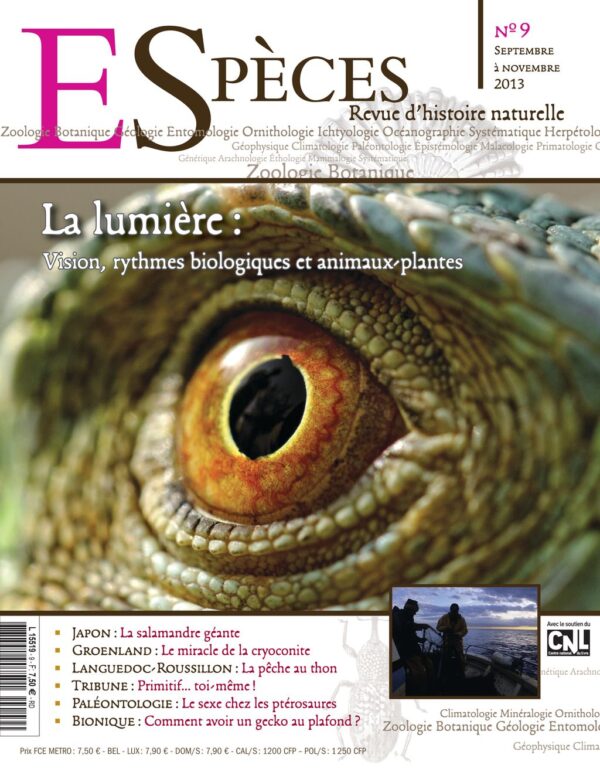 especes couverture numero9