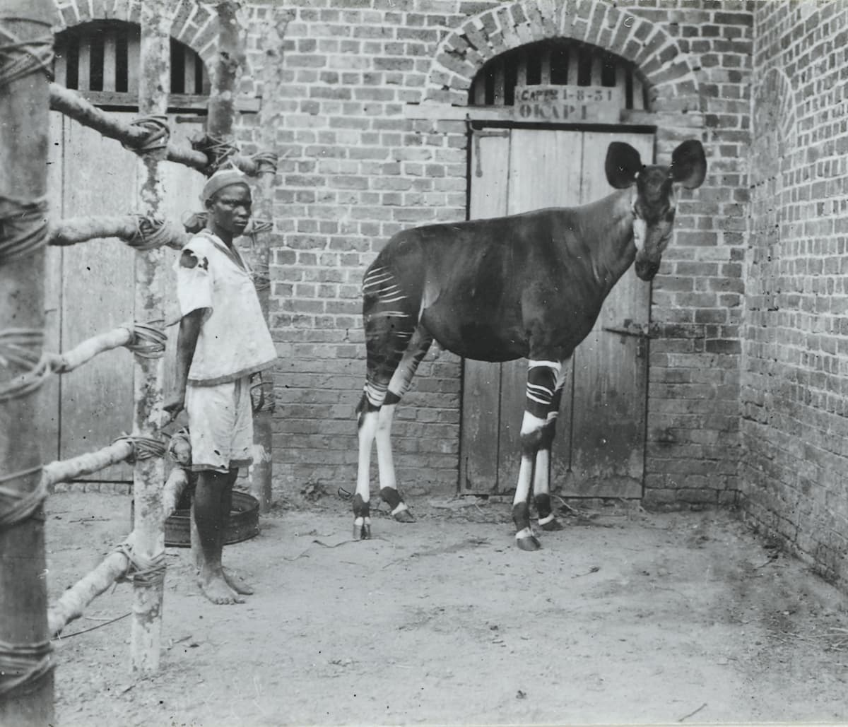 especes ligne editoriale le ton