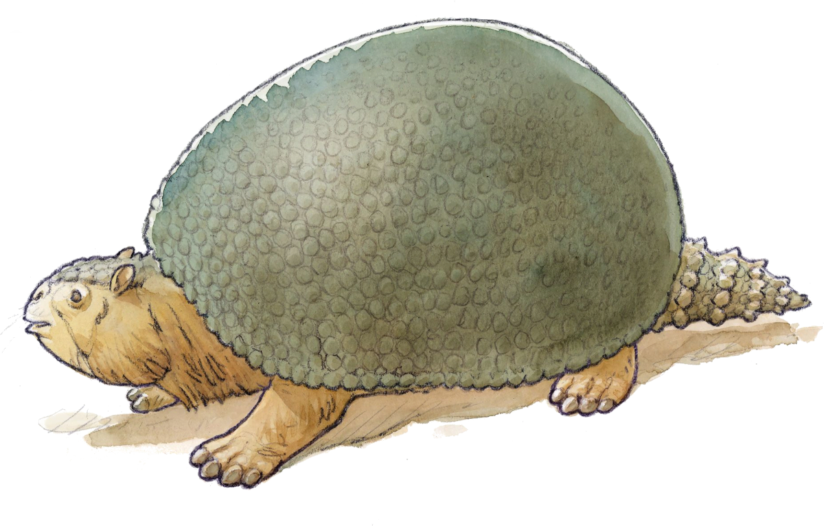 glyptodon pléistocène