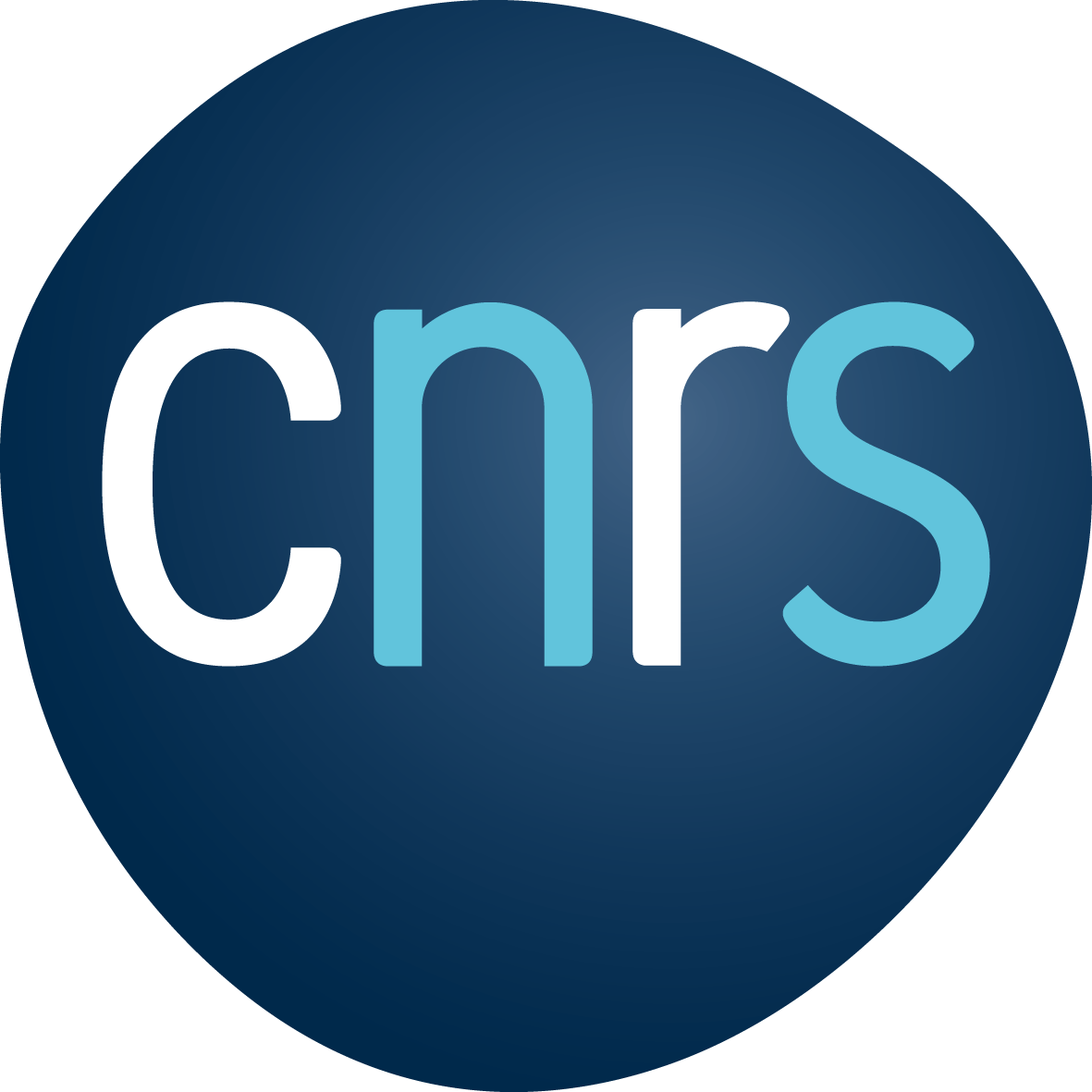 logo cnrs