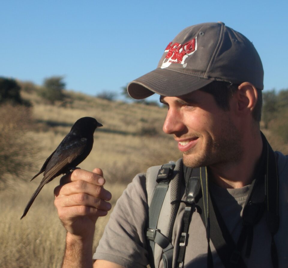 Tom Flower en compagnie d’un des drongos qu’il étudie